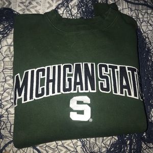 Michigan State Hoodie
